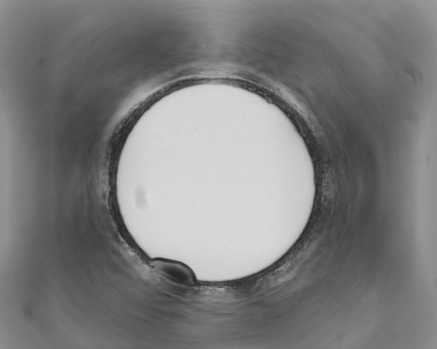 X0000110721456200907241156