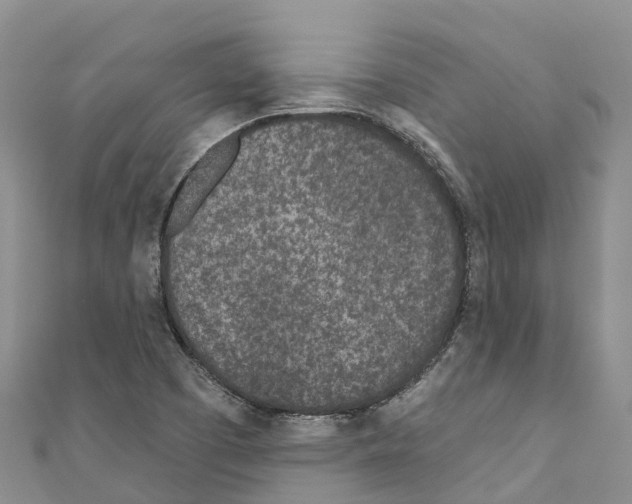 X0000110721457200907241156