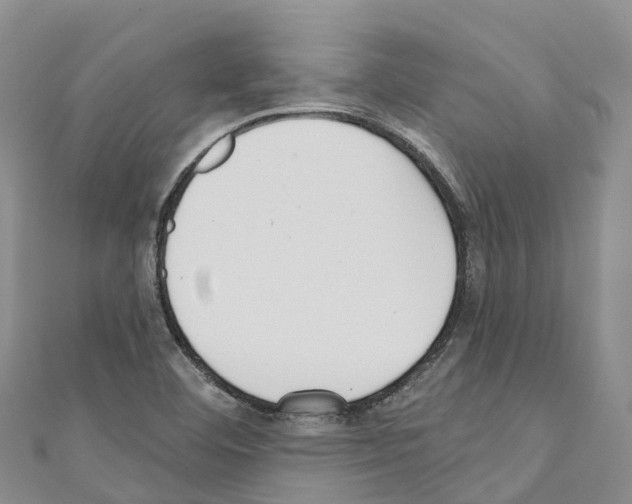 X0000110721460200907241156