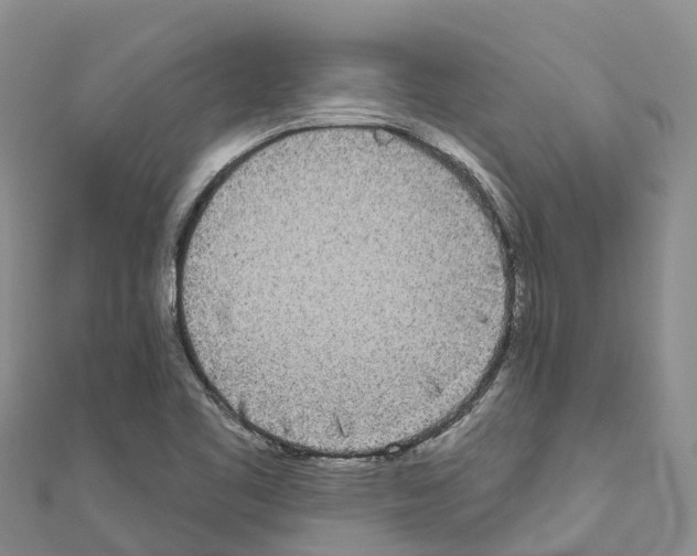 X0000110721461200907241156