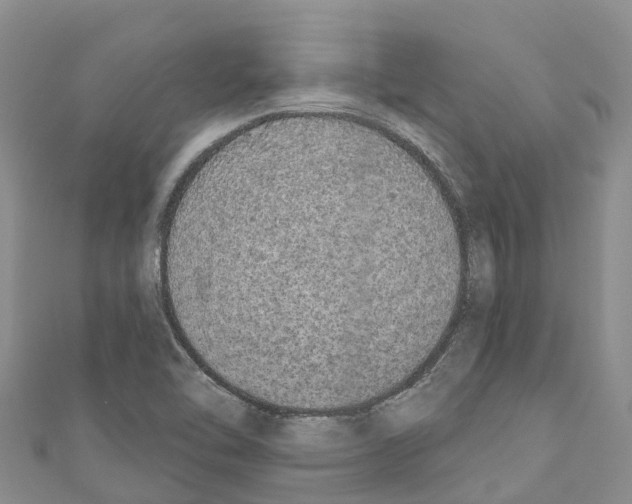 X0000110721462200907241156