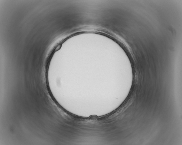 X0000110721464200907241156