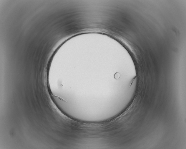 X0000110721468200907241156