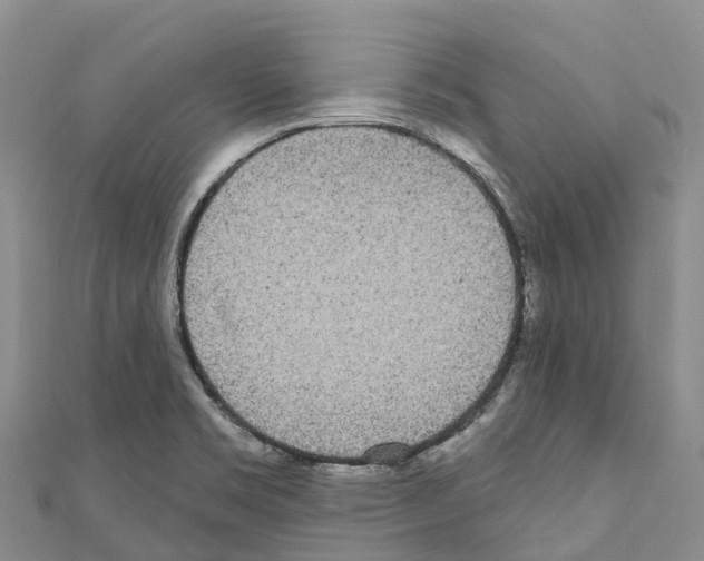 X0000110721469200907241156