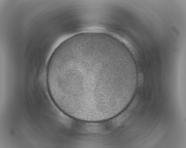 X0000110721470200907241156