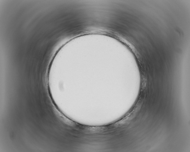 X0000110721471200907241156