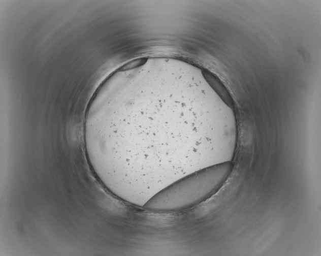 X0000110721473200907241156