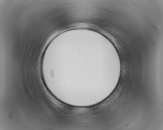 X0000110721475200907241156