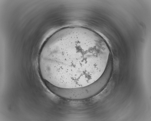 X0000110721477200907241156