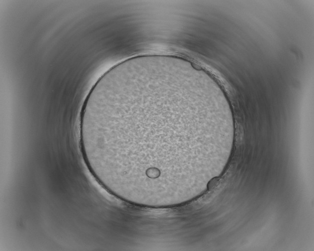 X0000110721479200907241156