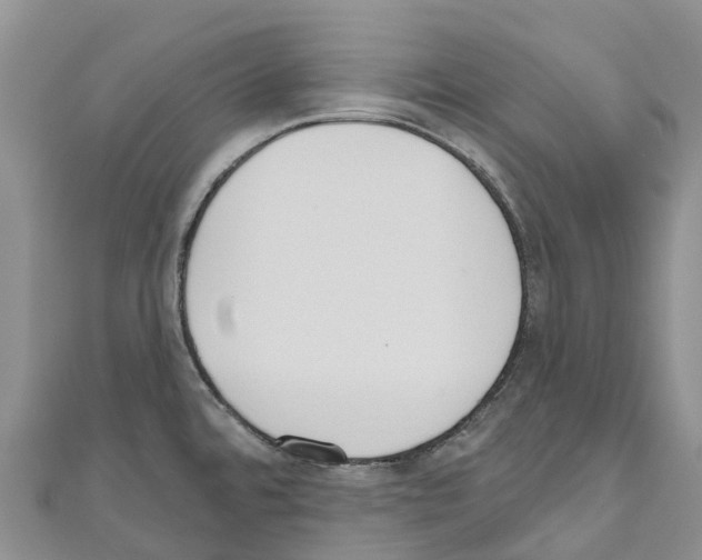 X0000110721480200907241156