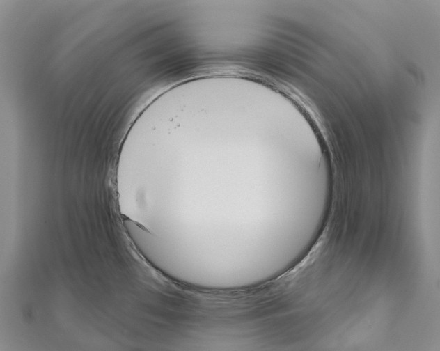 X0000110721481200907241156