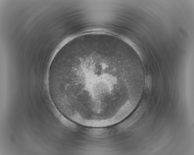 X0000110721482200907241156