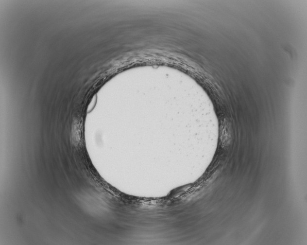 X0000110721490200907241155