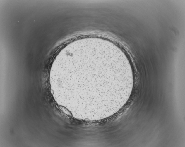 X0000110721494200907241155