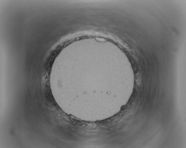 X0000110721495200907241155