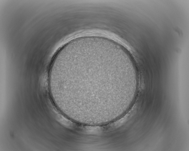 X0000110721498200907241155