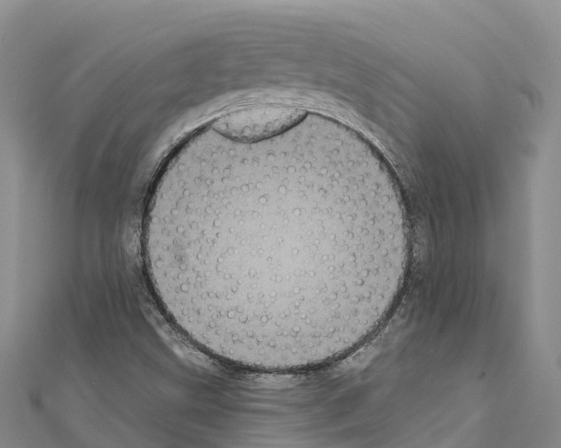 X0000110721499200907241155