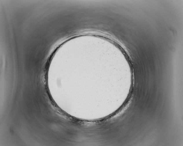 X0000110721501200907241155