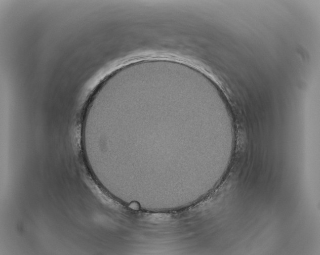 X0000110721503200907241155