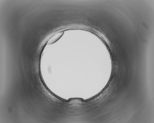 X0000110721504200907241155