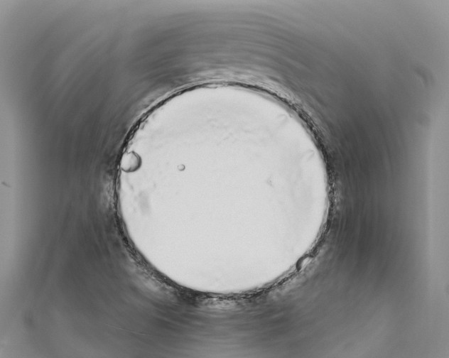 X0000110721505200907241155