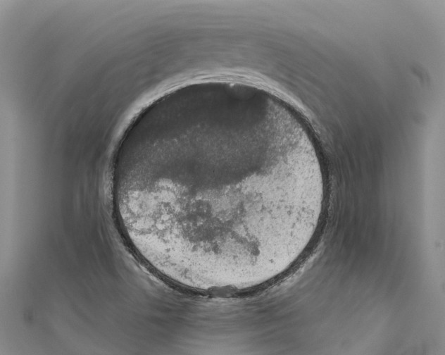 X0000110721506200907241155