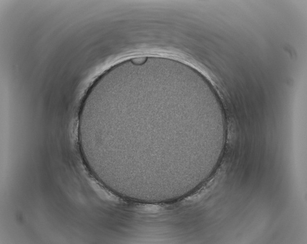 X0000110721507200907241155