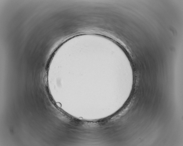 X0000110721509200907241155