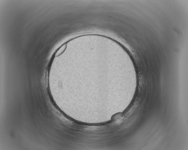 X0000110721510200907241155