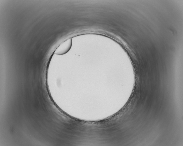 X0000110721512200907241155