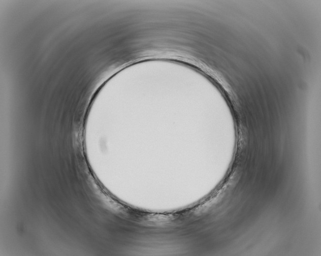 X0000110721513200907241155