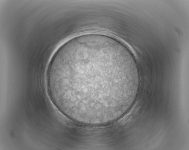 X0000110721514200907241155