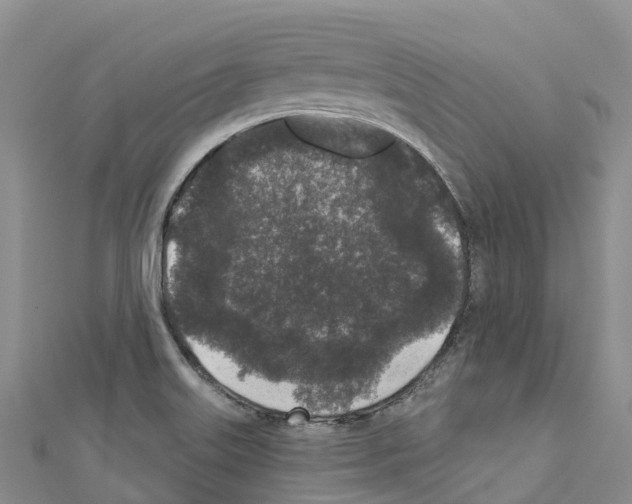 X0000110721515200907241155