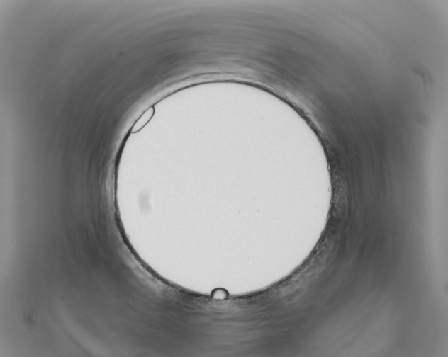 X0000110721516200907241156