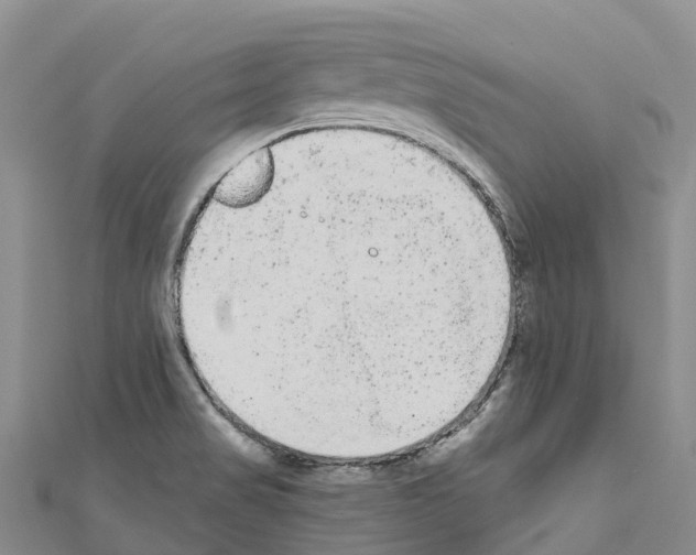 X0000110721517200907241156