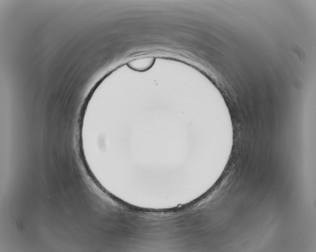 X0000110721518200907241156