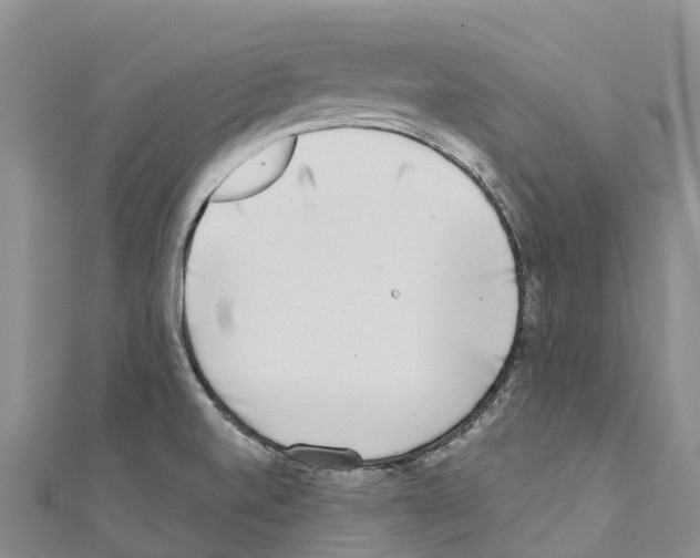 X0000110721520200907241156