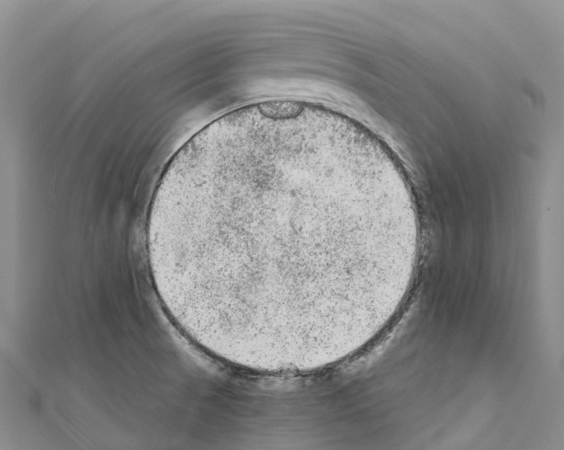 X0000110721521200907241156