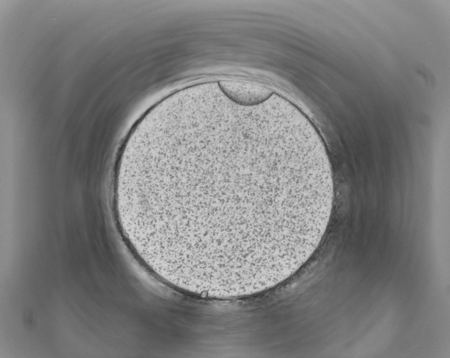 X0000110721523200907241156