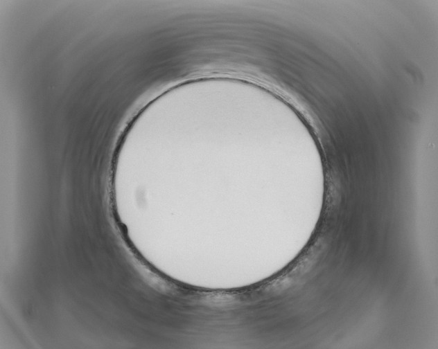 X0000110721525200907241156