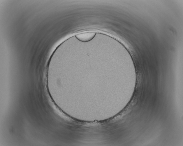 X0000110721526200907241156