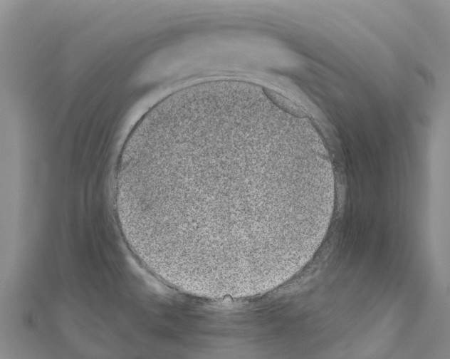 X0000110721527200907241156