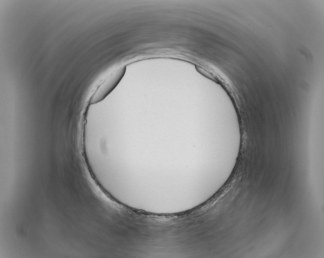 X0000110721528200907241156