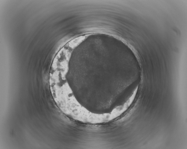 X0000110721529200907241156