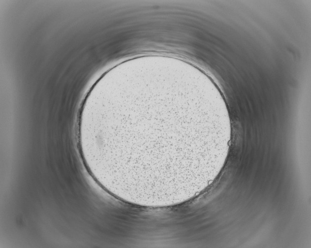 X0000110721531200907241156