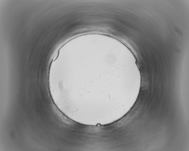 X0000110721532200907241156