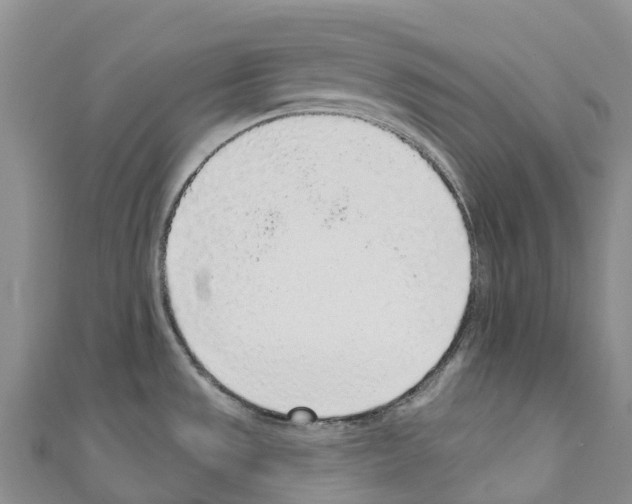 X0000110721533200907241156