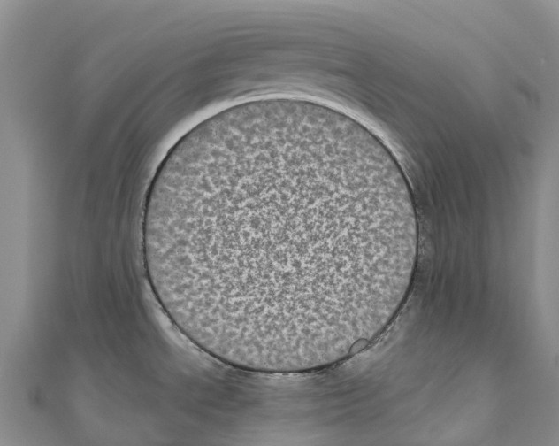 X0000110721534200907241156