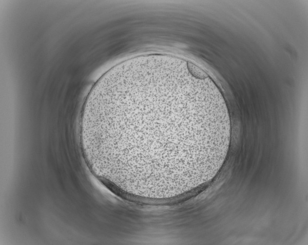 X0000110721535200907241156